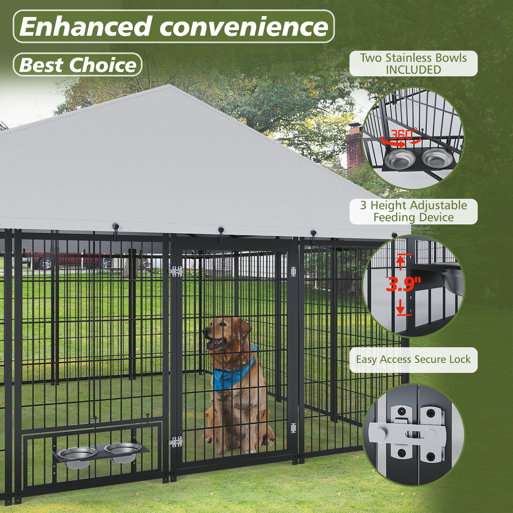 Large Outdoor Dog Kennel 9.62×9.35×6.18 ft