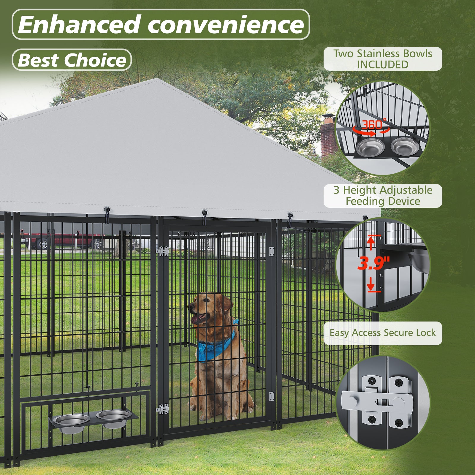 Large Outdoor Dog Kennel 9.62×9.35×6.18 ft