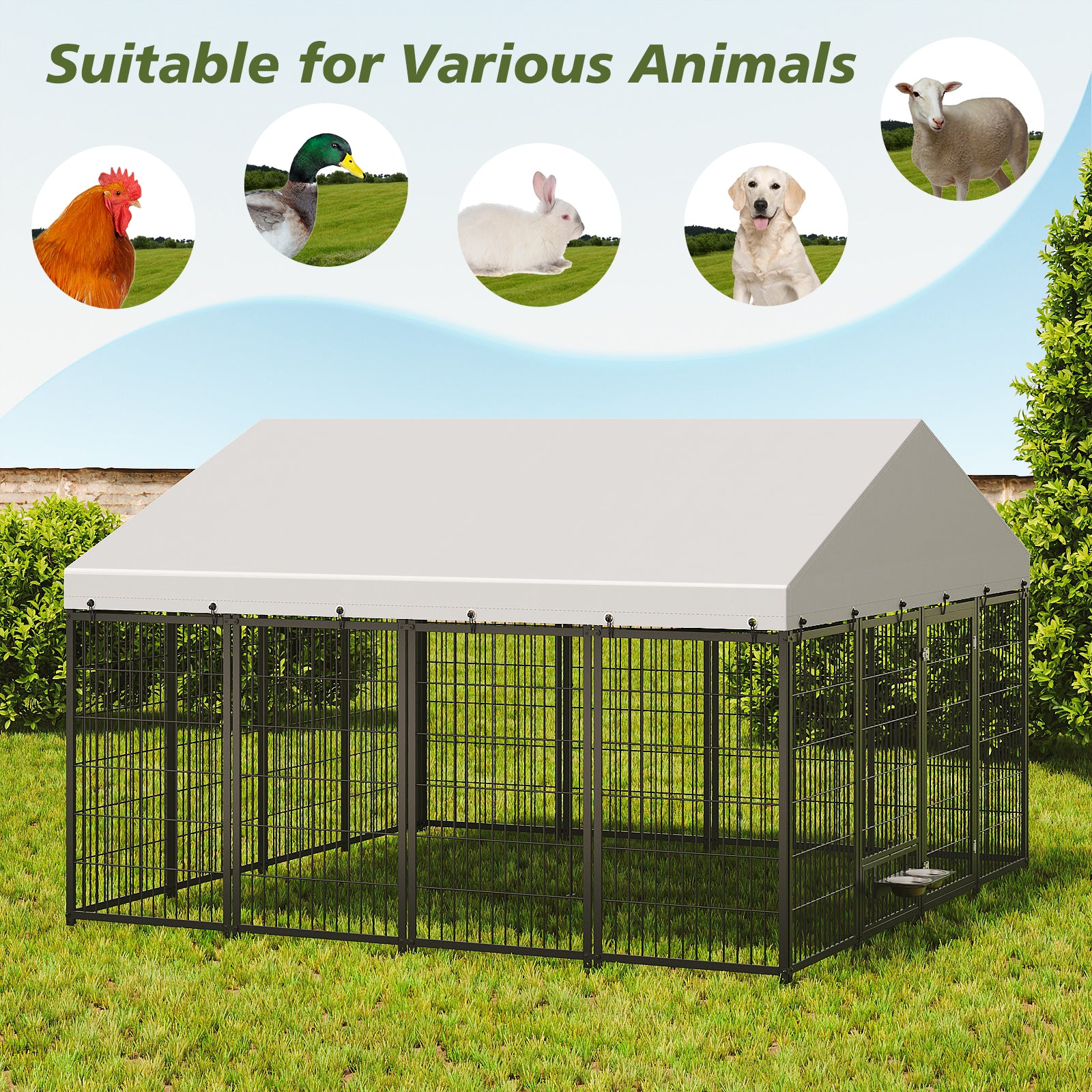 Large Outdoor Dog Kennel 9.62×9.35×6.18 ft